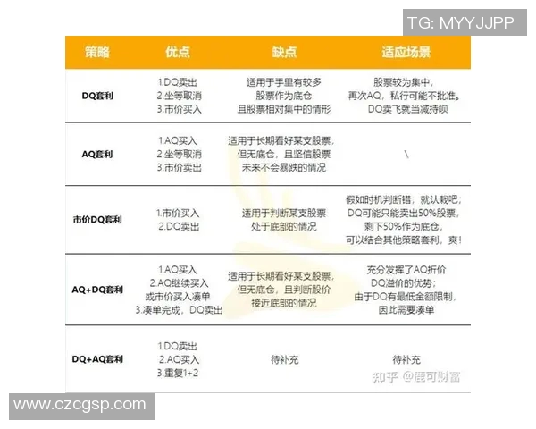 南京排球队的团队协作策略与实战表现深度分析与探讨