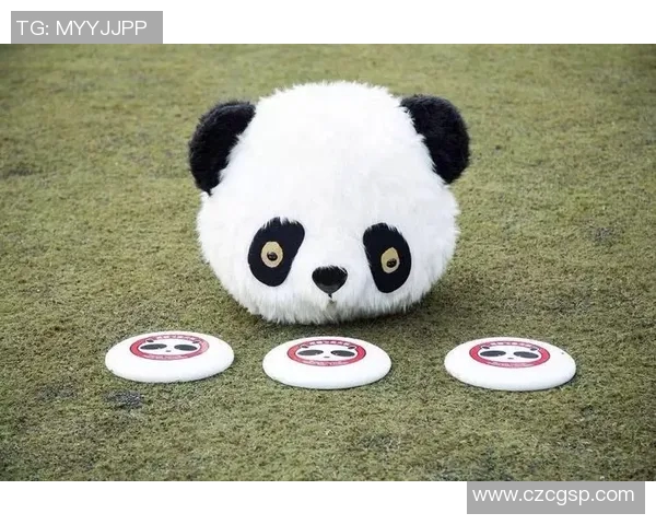 飞盘评论:重庆飞盘队的运营得失