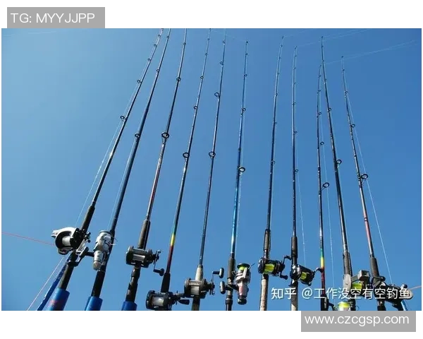 渔具的选择与使用技巧：从新手到高手的全面指南